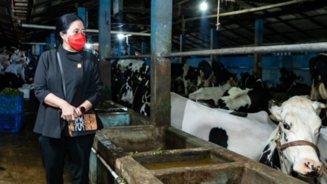 1655524697654_1655524722