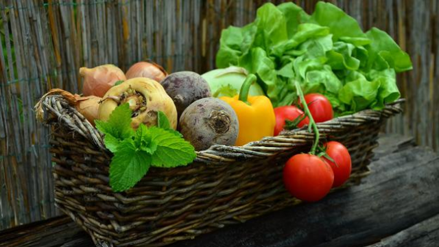 1658464684017_1658464869