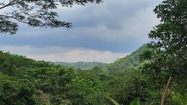1672010384030_1672010468