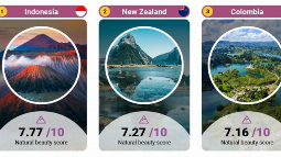 1661381995196_1661382344